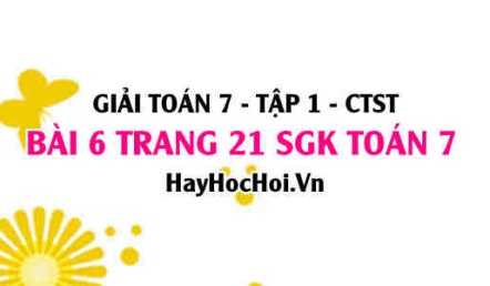 Giải bài 6 trang 21 Toán 7 Tập 1 SGK Chân trời sáng tạo